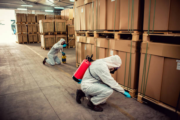 Professional Pest Control in Coon Rapids, IA