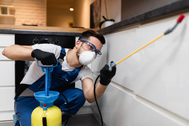 Best Commercial Pest Control Services  in Coon Rapids, IA