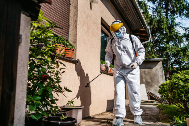 Best Cockroach Control Services  in Coon Rapids, IA