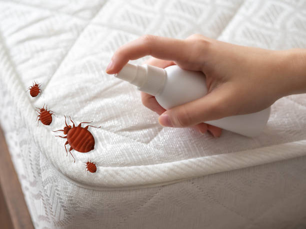 Best Pest Control Treatment  in Coon Rapids, IA