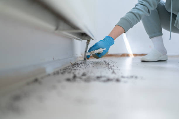 Best Pest Removal Services  in Coon Rapids, IA